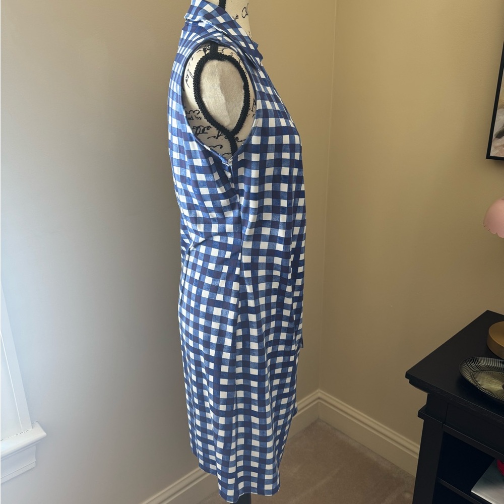 Talbots Blue and White Gingham Dress - Picture 4 of 8